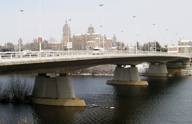 Puente Felipe VI